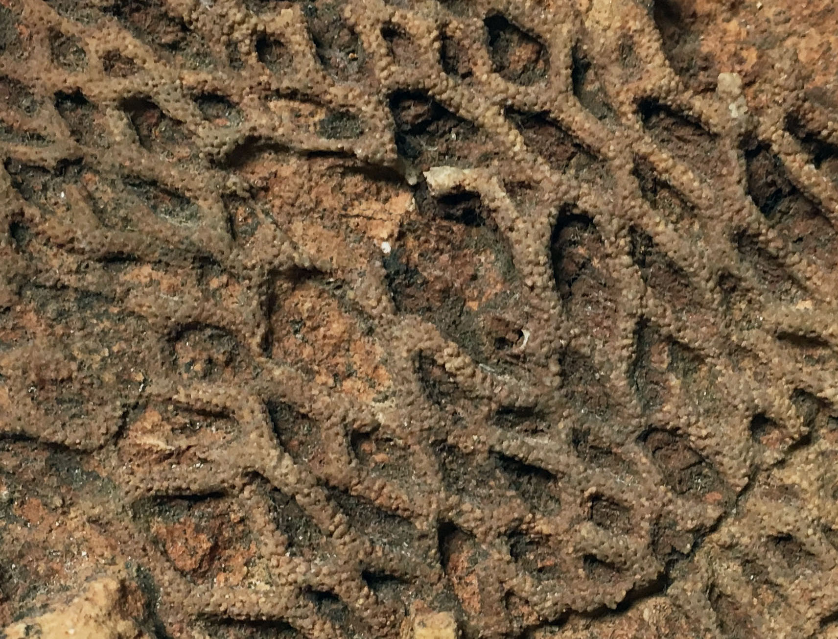 Vine-like splitting and merging patterns